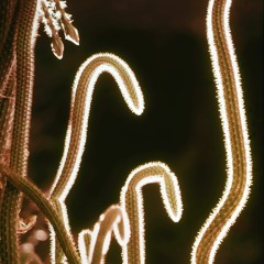 Cascades (Interlude)