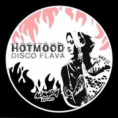 Hotmood - Disco Flava (Felipe Gordon Remix)
