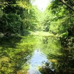 Eyal - Fei Fei NORTH  2 - 3 - longer