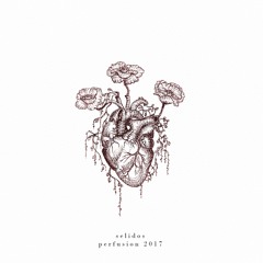 Free Download: Selidos - Perfusion (Original Mix)