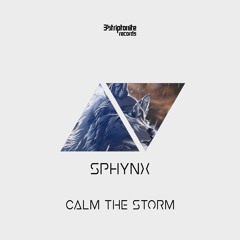 Paint It Black - Calm The Storm (Original Mix)[Preview]