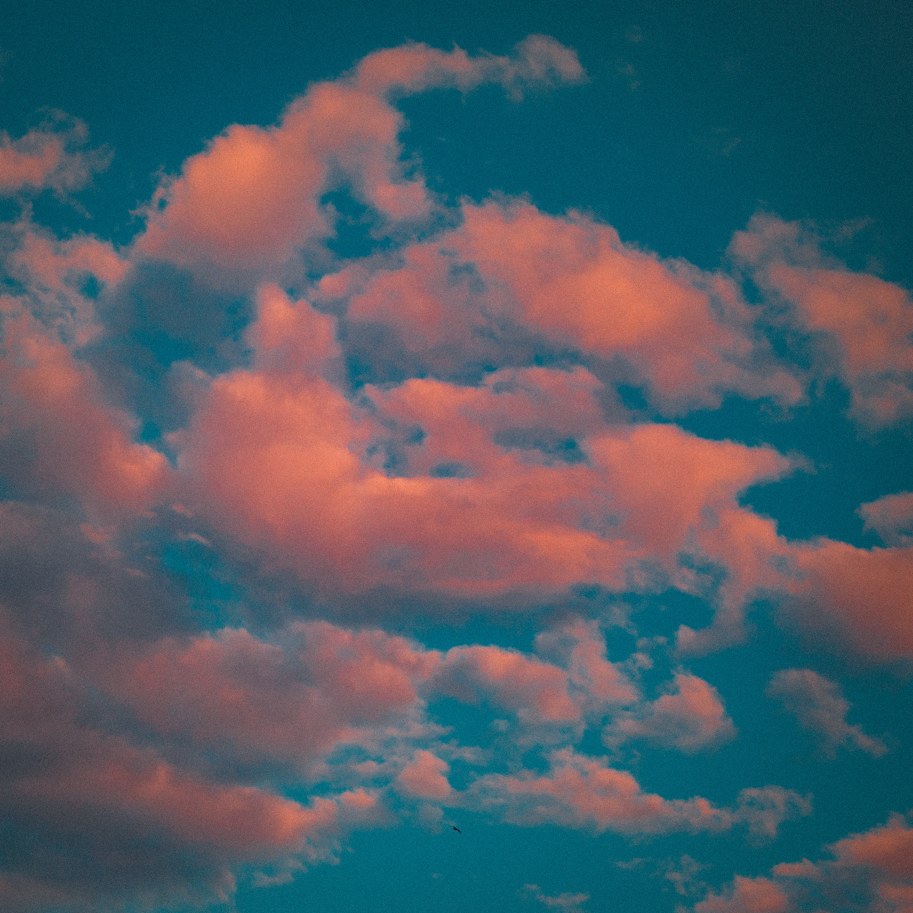 clouds episode artwork