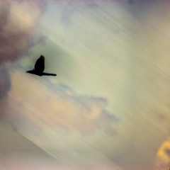 Atmodance - Fly Away (With You)