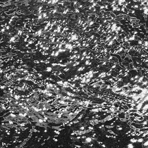 Das Carma - Solstice