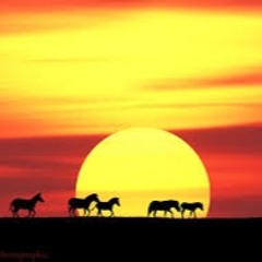 IMPRO #3 - 251 Jazzy Sunset