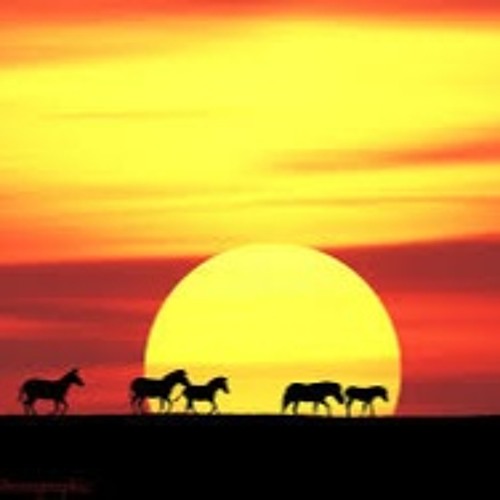 IMPRO #3 - 251 Jazzy Sunset