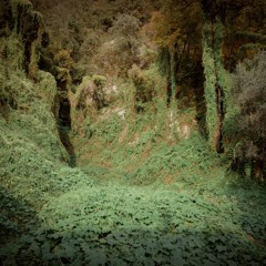 VÆVER - Live @ Suoni Mobili 2017