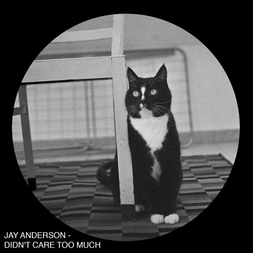 PREMIERE:  Jay Anderson - Didn't Care Too Much