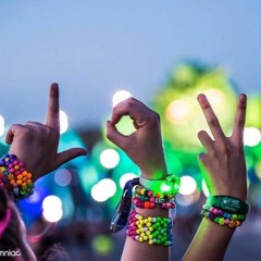 DJ Mr'ACP - EDM FESTIVAL MIX 2017