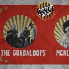 Entrevista con The Guadaloops
