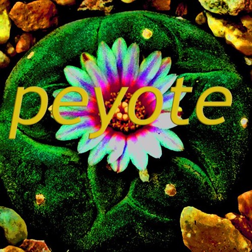 Peyote- Dev