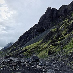 CosmoPod 15 " Solstice " by Hilary Mertaugh