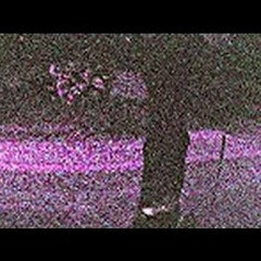 ¥ø¨√´ ∫´´˜ çå®´¬´ßß ∑ˆ†˙ µ¥ ƒ´´¬ˆ˜©ß