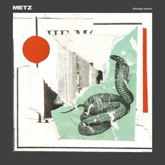 METZ - Mess of Wires