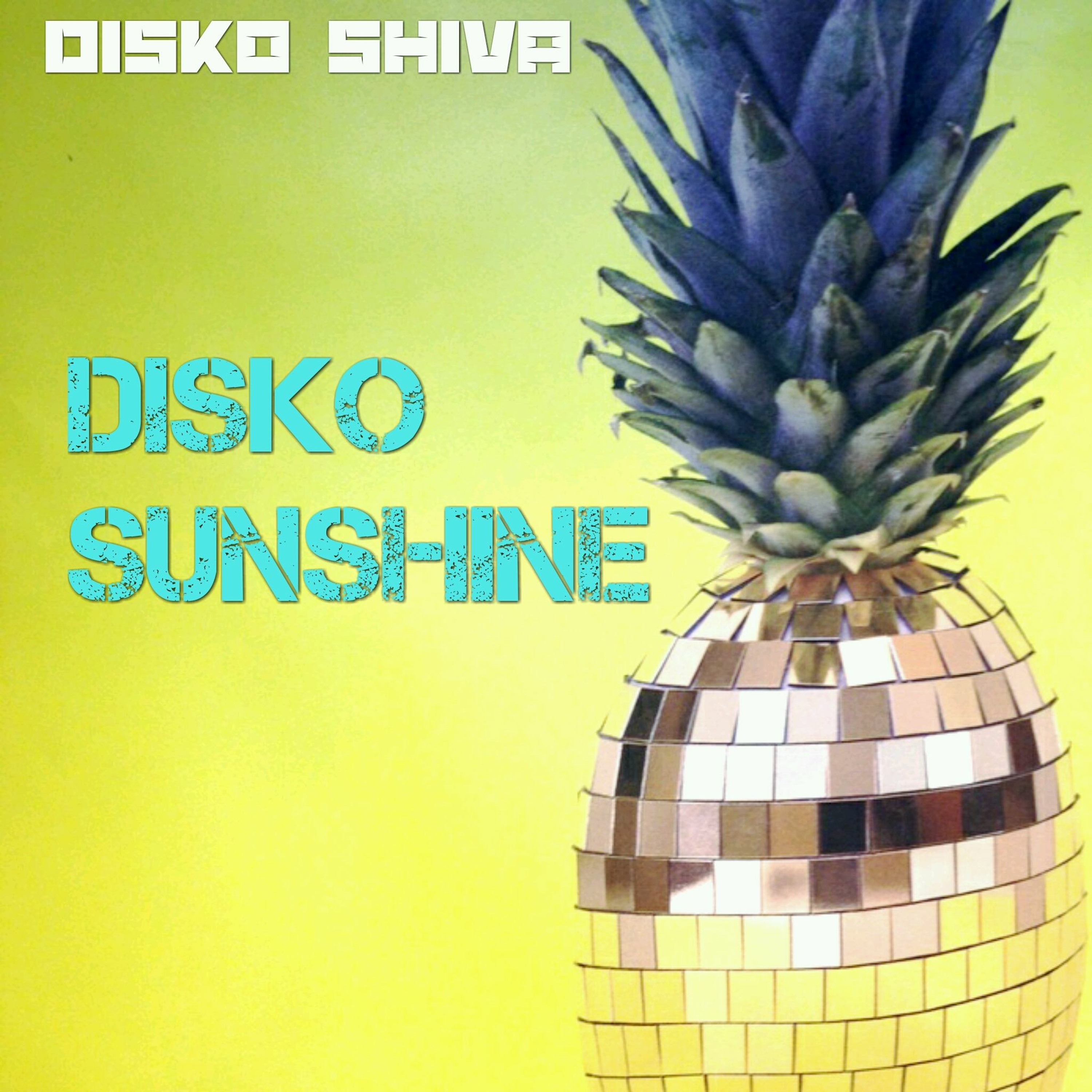 DISKO SUNSHINE episode artwork