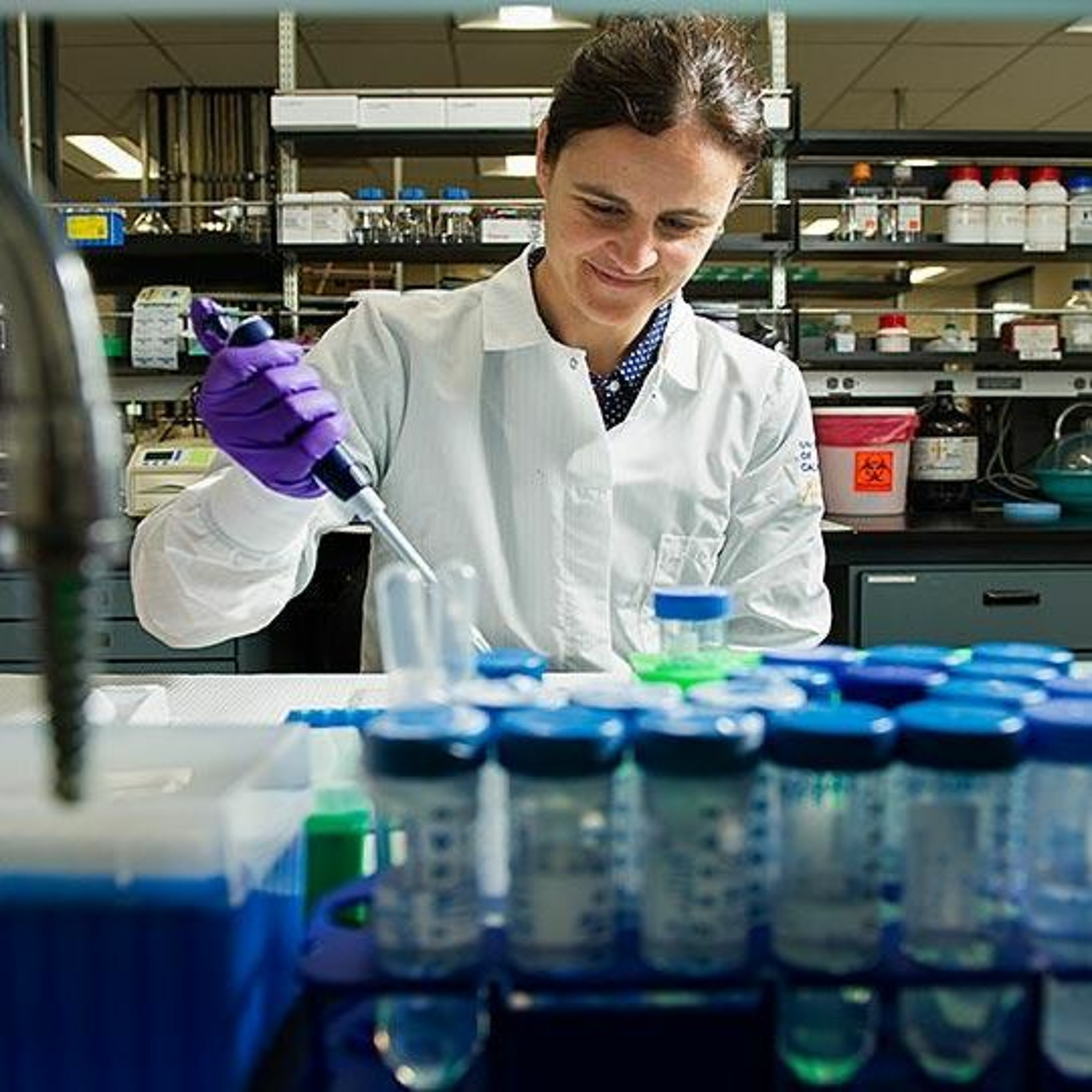 New insight into HDL composition