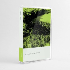 Swamp Tapes 008 V/A - Side B Snippets