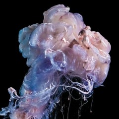 2017 - 08 - 08 23h46m23