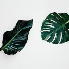 Lorenzo Sphera - Echochamber (Preview)