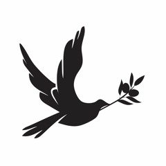 Prot Theme from Shadows & Daylight - Natasha Green