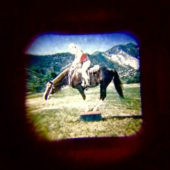 Hung Bunny/Roman Bird Dog