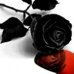 "Hypnotized" ft Gifted.