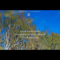 Murrumbidgee [Naviarhaiku187]