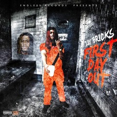 Zay Bricks  - First Day Out Freestye