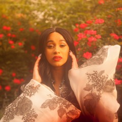 Bodak Yellow: Money Moves (kbrissy & shaunanthoney DMCA edit)