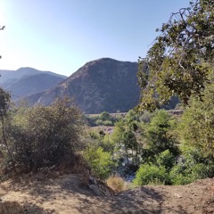 Face (Featuring Lucky)