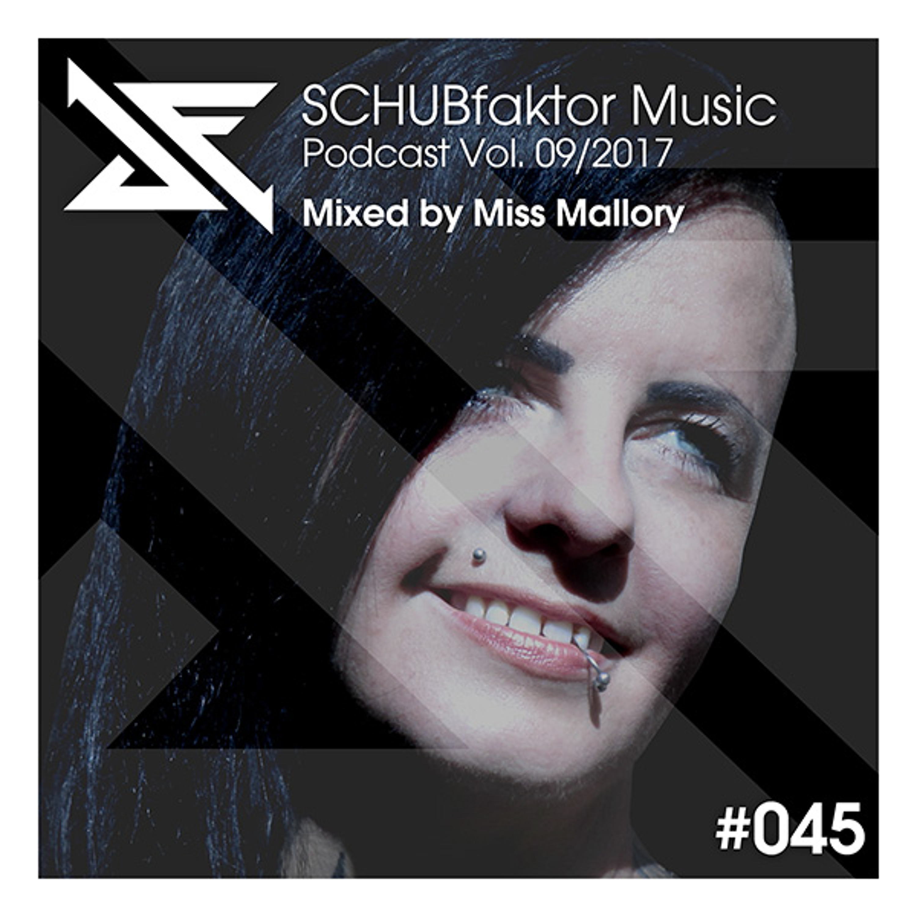 SCHUBfaktor Music