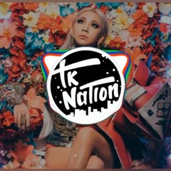 CL - Hello Bitches [TK Remix]