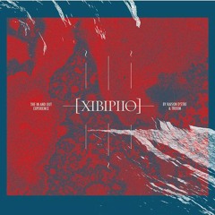 raison d'etre & troum - EIGI EINHAMR