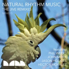 Download: Natural Rhythm 'The Jive' (John Mork's Vibin & Jivin Remix)