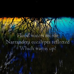 Floating Reflected [naviarhaiku187]