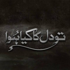 Tau Dil Ka Kia Hua - Shuja Haider (Full OST)