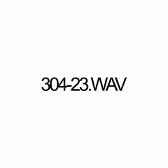 304-23.WAV