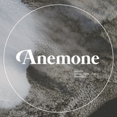 ADV709 - Particles (preview) - Anemone Recordings