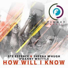 Ste Essence & Sheena McHugh V Danny Whittle - How Will I Know (Radio Edit)