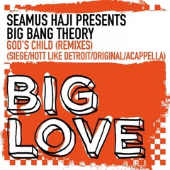 Big Bang Theory - God's Child (Siege remix)