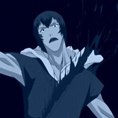 Bleach: Never Meant to Belong