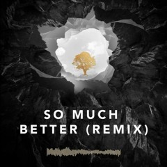 Sandro Cavazza - So Much Better (Avicii Remix) (Official Preview) (Avīci EP)