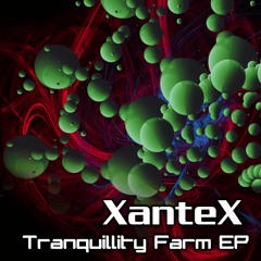 Xantex - No Credit Funk ($8e12 mix)