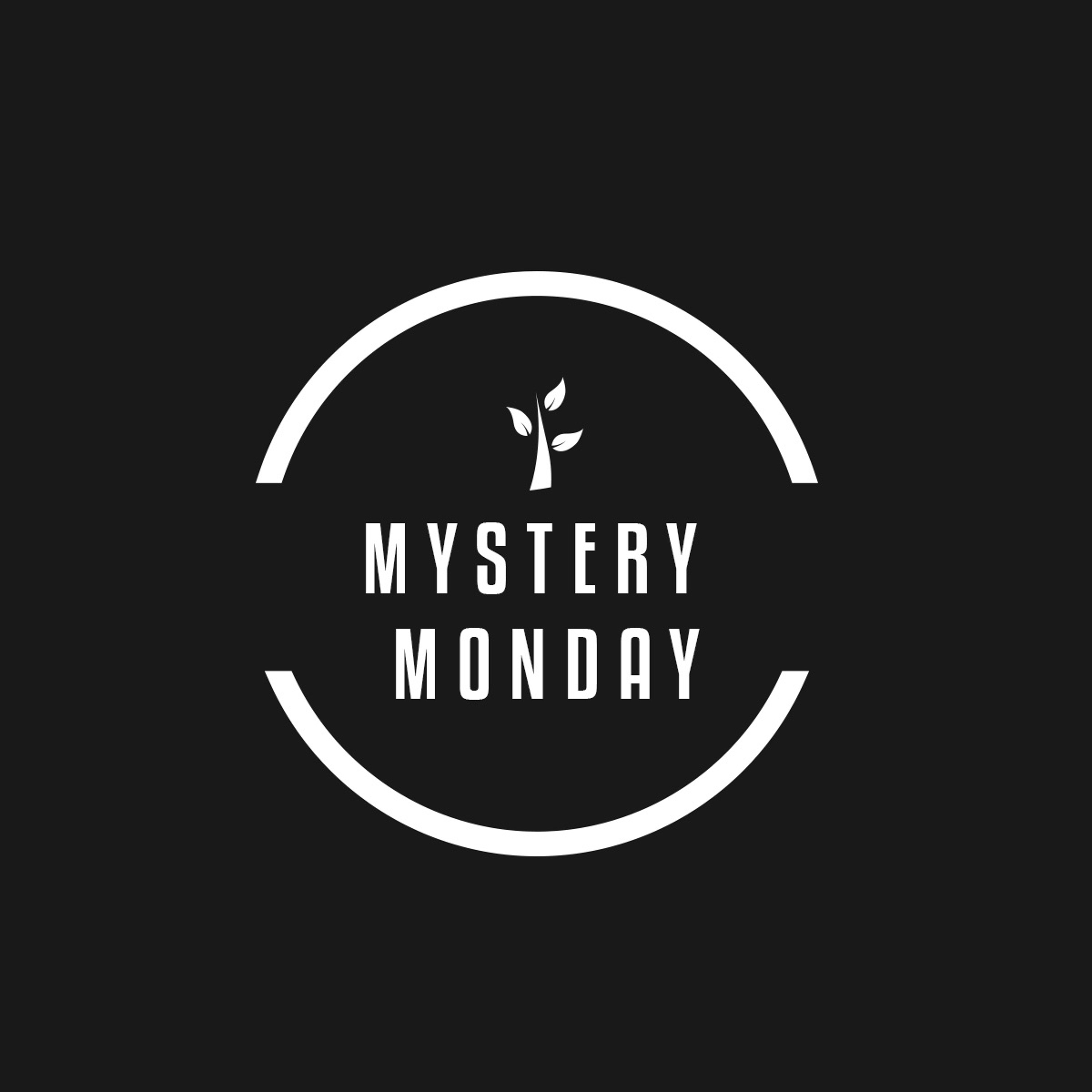 S2 "Mystery Monday" The Shroud Of Turin thumbnail