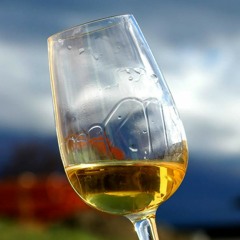 JAMELGO ft G.NEGRO - La sequedad de mis acequias