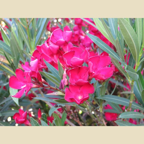 Pretty (Prod. Cig A.M.)