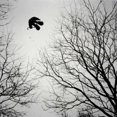 Takes A While To Smile