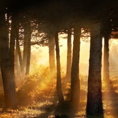 Ocarina Call to Meditation at Dawn