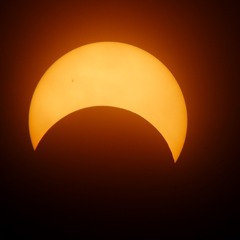 Mufasa's rawr/Simbas rawr ft. Jasiha(prime eclipse/pre)