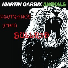 Martin Garrix - Animals (BULLR3D edit psytrance)